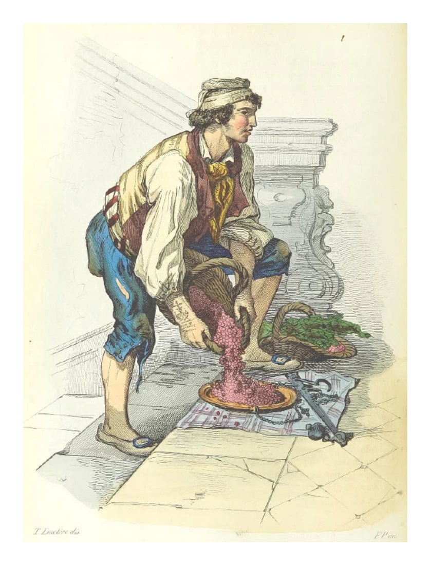 Il fragolaro